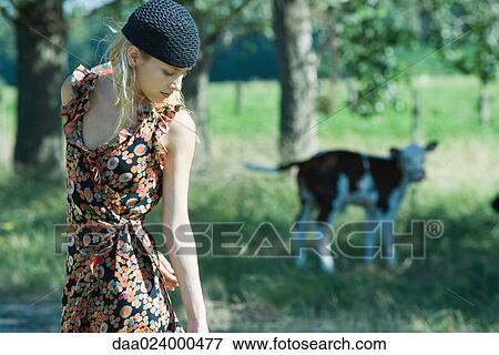 Young woman in sundress walking past cow, looking down View Large Photo Image Stock Photo - Young woman in sundress walking past cow, looking down. Fotosearch
