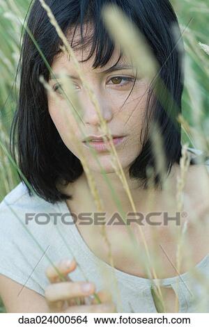 Young woman in tall grass, looking away, portrait View Large Photo Image Picture - Young woman in tall grass, looking away, portrait. Fotosearch