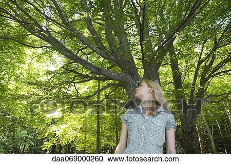 Young woman in woods View Large Photo Image Stock Image - Young woman in woods. Fotosearch