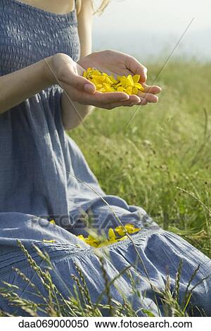 Young woman kneeling in meadow, holding flower petals in hands, cropped View Large Photo Image Stock Image - Young woman kneeling in meadow, holding flower petals in hands, cropped. Fotosearch
