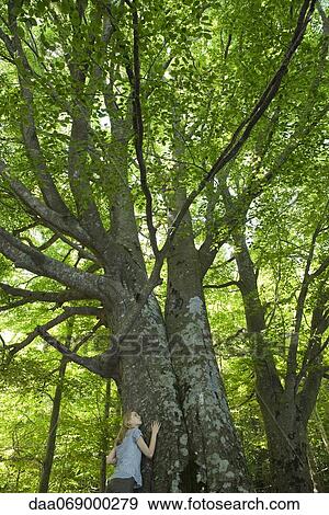 Stock Photo - Young woman leaning against tree. Fotosearch