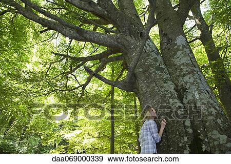 Stock Photo - Young woman leaning against tree, looking up. Fotosearch