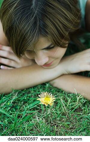 Young woman lying on grass looking at flower, head resting on arms, cropped view View Large Photo Image Stock Photo - Young woman lying on grass looking at flower, head resting on arms, cropped view. Fotosearch