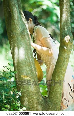 Young woman peeking around tree trunk, side view View Large Photo Image Stock Image - Young woman peeking around tree trunk, side view. Fotosearch