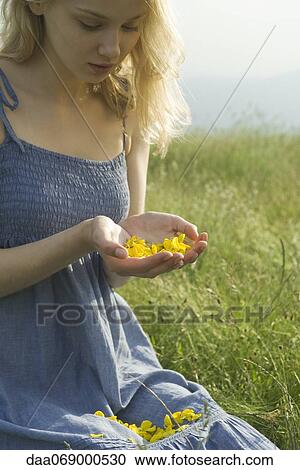 Young woman sitting in field, holding flower petals in cupped hands View Large Photo Image Stock Image - Young woman sitting in field, holding flower petals in cupped hands. Fotosearch