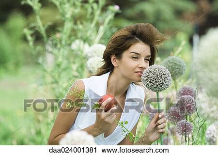 Stock Image - Young woman smelling allium flower, holding sprig of herbs and apple. Fotosearch