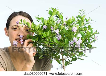 Young woman smelling flowering plant View Large Photo Image Stock Image - Young woman smelling flowering plant. Fotosearch