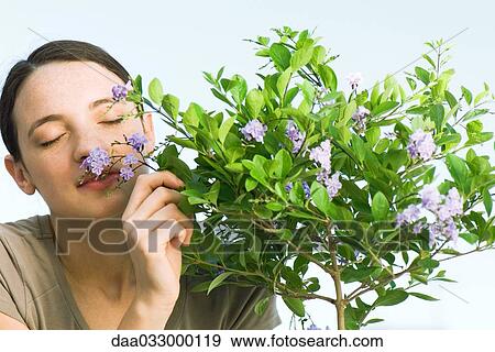 Stock Photo - Young woman smelling flowering plant. Fotosearch