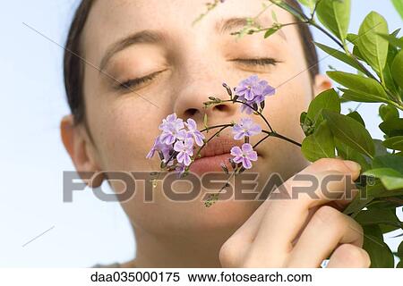 Stock Photography - Young woman smelling small purple blossoms on flowering tree. Fotosearch