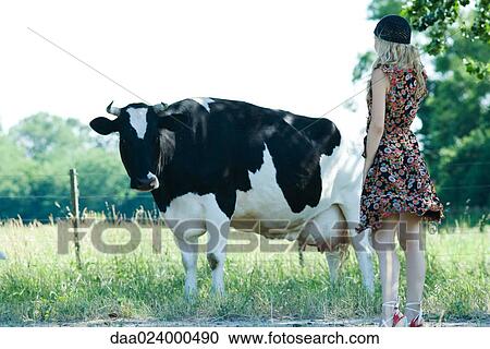 Young woman standing and looking at cow, rear view View Large Photo Image Stock Image - Young woman standing and looking at cow, rear view. Fotosearch
