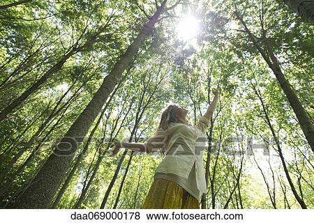 Young woman standing in woods, reaching toward sun shining through canopy View Large Photo Image Stock Photo - Young woman standing in woods, reaching toward sun shining through canopy. Fotosearch