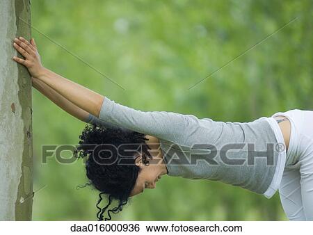 Young woman stretching against tree View Large Photo Image Stock Photograph - Young woman stretching against tree. Fotosearch