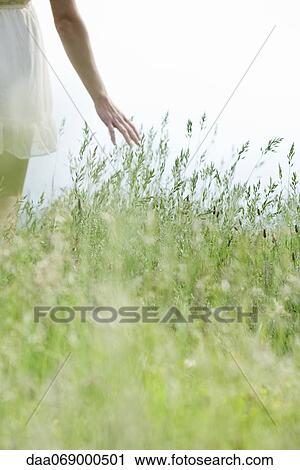 Young woman walking through tall grass, cropped View Large Photo Image Stock Image - Young woman walking through tall grass, cropped. Fotosearch
