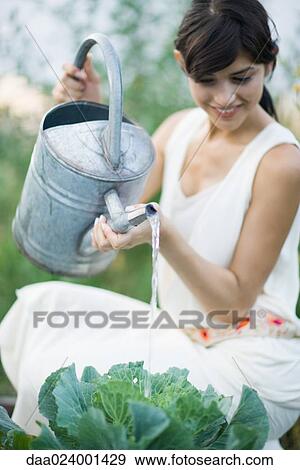 Stock Photo - Young woman watering cabbage with watering can. Fotosearch