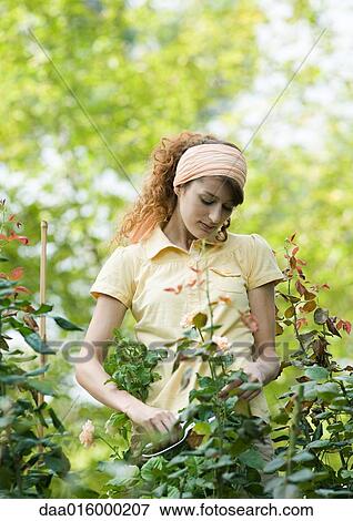 Stock Photo - Young woman working in garden. Fotosearch