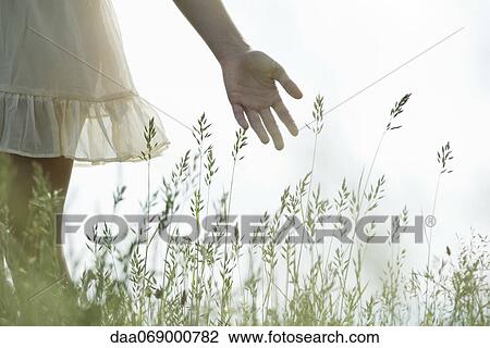 Young woman's hand touching tall grass View Large Photo Image Stock Image - Young woman's hand touching tall grass. Fotosearch