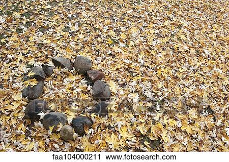 Abandoned campfire pit covered in autumn leaves View Large Photo Image Stock Image - Abandoned campfire pit covered in autumn leaves. Fotosearch