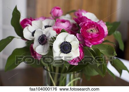 Anemone and ranunculus flowers in vase View Large Photo Image Stock Photograph - Anemone and ranunculus flowers in vase. Fotosearch
