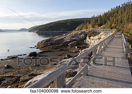 Boardwalk along tranquil lake View Large Photo Image Stock Photo - Boardwalk along tranquil lake. Fotosearch