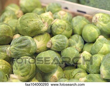 Brussels sprouts View Large Photo Image Stock Image - Brussels sprouts. Fotosearch