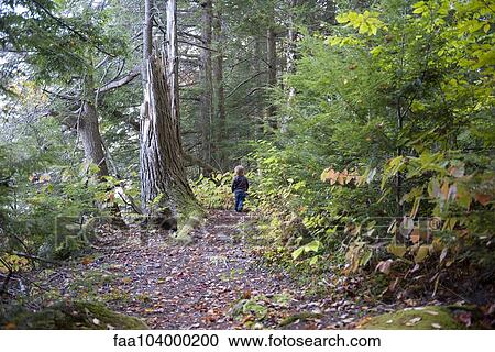 Stock Image - Child walking on trail through woods. Fotosearch