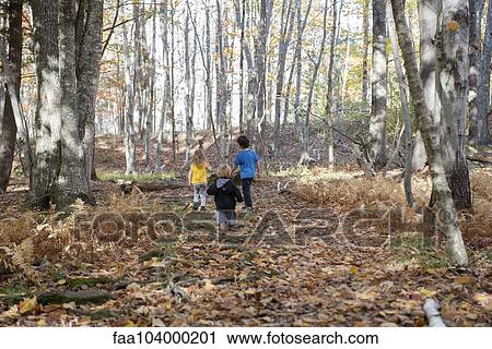 Stock Image - Children exploring in woods. Fotosearch