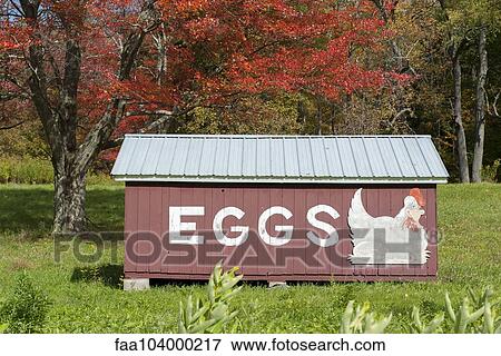 Stock Photo - Henhouse advertising eggs. Fotosearch