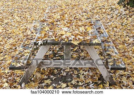 Stock Image - Picnic table covered in autumn leaves. Fotosearch