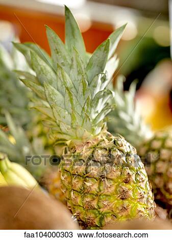 Pineapple in grocery display View Large Photo Image Stock Image - Pineapple in grocery display. Fotosearch