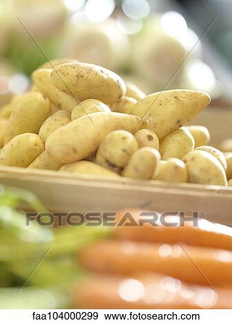 Potatoes and carrots on display at farmer's market View Large Photo Image Stock Photo - Potatoes and carrots on display at farmer's market. Fotosearch