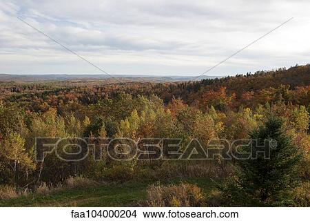 Picture - Scenic, forested countryside. Fotosearch