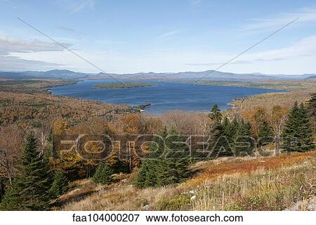 Tranquil forest and lake scene View Large Photo Image Stock Photo - Tranquil forest and lake scene. Fotosearch