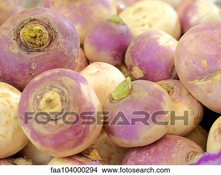 Turnips View Large Photo Image Picture - Turnips. Fotosearch