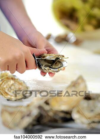 Woman shucking oyster View Large Photo Image Stock Image - Woman shucking oyster. Fotosearch