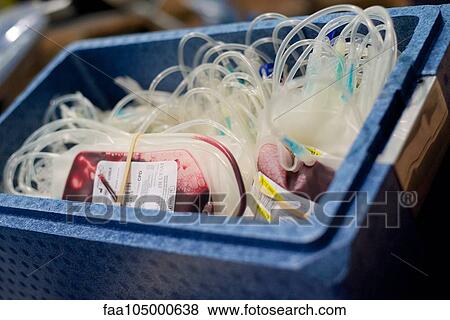 Bags of blood in bin View Large Photo Image Stock Photo - Bags of blood in bin. Fotosearch
