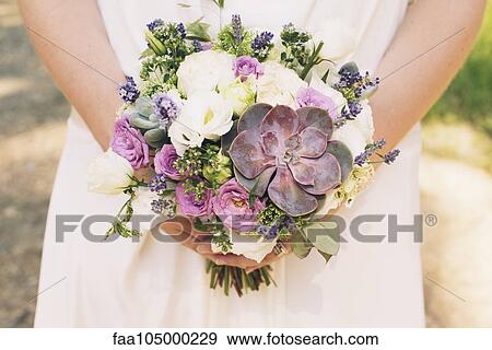Bride holding bouquet of flowers and succulent plants, cropped View Large Photo Image Stock Photo - Bride holding bouquet of flowers and succulent plants, cropped. Fotosearch