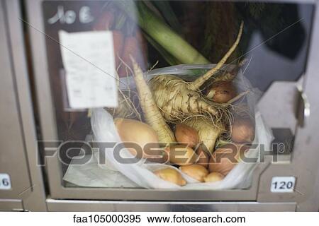 Food locker containing parsnips and shallots in self-serve grocery View Large Photo Image Stock Photography - Food locker containing parsnips and shallots in self-serve grocery. Fotosearch