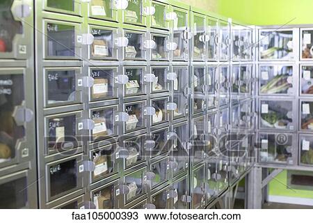 Food lockers in self-serve grocery View Large Photo Image Stock Image - Food lockers in self-serve grocery. Fotosearch
