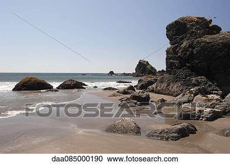 Beach with rock formations, Oregon, USA View Large Photo Image Stock Image - Beach with rock formations, Oregon, USA. Fotosearch