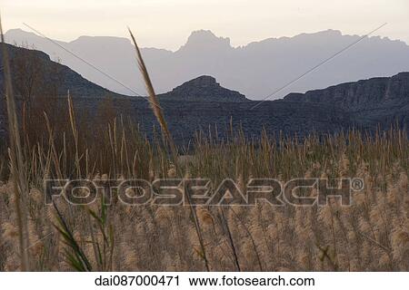Big Bend National Park, Texas, USA View Large Photo Image Stock Image - Big Bend National Park, Texas, USA. Fotosearch