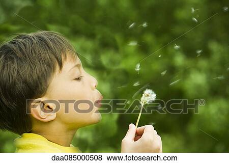 Boy blowing dandelion seedhead View Large Photo Image Stock Photo - Boy blowing dandelion seedhead. Fotosearch