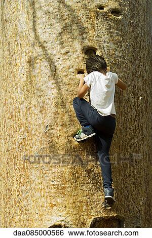 Stock Photograph - Boy climbing tree. Fotosearch