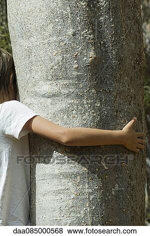 Boy hugging tree View Large Photo Image Stock Photo - Boy hugging tree. Fotosearch
