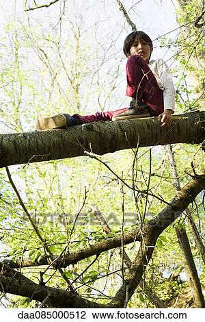 Boy sitting on tree branch View Large Photo Image Stock Image - Boy sitting on tree branch. Fotosearch