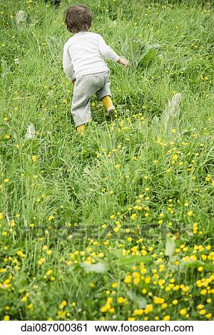Child running through grass, rear view View Large Photo Image Stock Image - Child running through grass, rear view. Fotosearch
