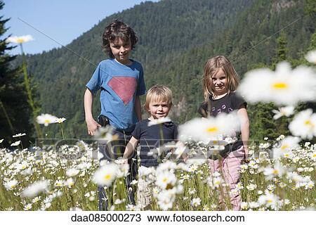 Children in field of daisies View Large Photo Image Stock Image - Children in field of daisies. Fotosearch