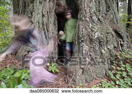 Children playing in hollow tree trunk View Large Photo Image Stock Image - Children playing in hollow tree trunk. Fotosearch
