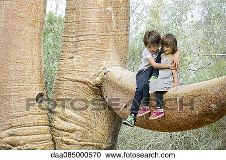 Children sitting together on baobab tree branch View Large Photo Image Stock Image - Children sitting together on baobab tree branch. Fotosearch