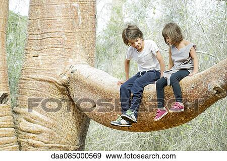 Children sitting together on baobab tree branch View Large Photo Image Stock Photo - Children sitting together on baobab tree branch. Fotosearch