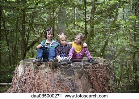 Children sitting together on large tree stump in forest View Large Photo Image Stock Image - Children sitting together on large tree stump in forest. Fotosearch